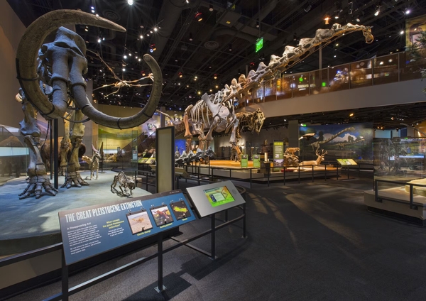 Perot Museum of Nature and Science Image #2 Perot Museum of Nature and Science Image #2