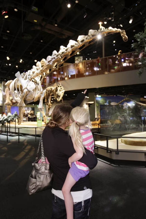 Perot Museum of Nature and Science Image #3 Perot Museum of Nature and Science Image #3